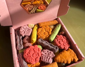 Small Pet Birthday Treat Box • Colorful Enrichment Selection for Hamster, Gerbil, Rabbit, Guinea Pig