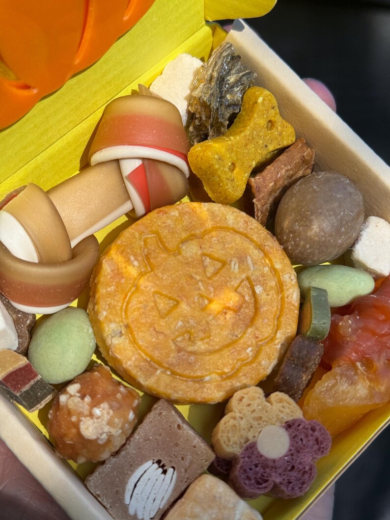 May include: A wooden box filled with various dog treats. The treats include a bone-shaped biscuit, a round biscuit with a jack-o'-lantern face, and other colorful snacks. The box is yellow inside and has an orange pumpkin shape on the side.