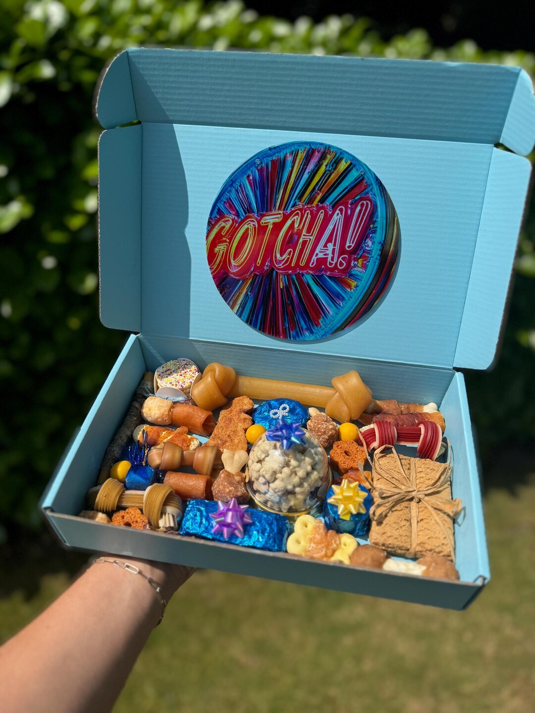 Gotcha Day Dog Treat Box | Gourmet Pup Chews, Rawhide Free for Medium ...