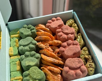 Mini-tass kattgodislåda • Kattungepresent • Små bitar kattgodis • Grattis på födelsedagen för katten • Söt presentlåda för husdjur