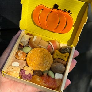 May include: A yellow box with an orange pumpkin cutout on the lid, filled with various dog treats. The treats include bone-shaped chews, biscuits, and other snacks in different shapes and colors. The box is held in a person's hand.