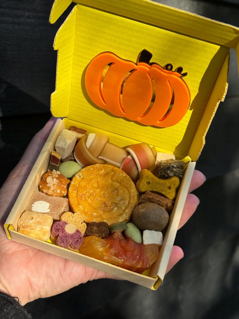 May include: A yellow box with an orange pumpkin cutout on the lid, filled with various dog treats. The treats include bone-shaped chews, biscuits, and other snacks in different shapes and colors. The box is held in a person's hand.