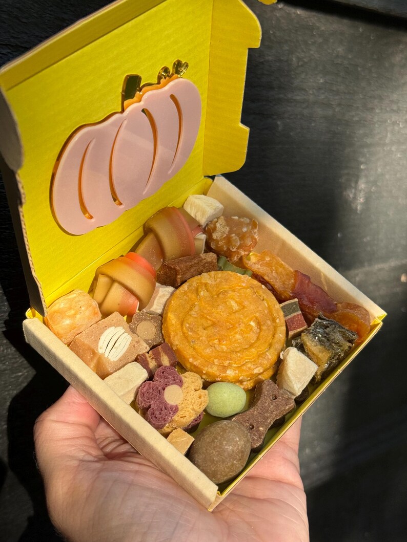 May include: A yellow box with a pink pumpkin cutout on the lid, filled with a variety of dog treats. The treats include bone-shaped chews, round biscuits, and other colorful snacks. The box is held in a person's hand.