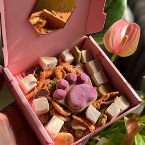 Födelsedagsgodislåda för katter med hälsosamt frystorkat mellanmål, roliga godisbitar för katter, present till kattägare