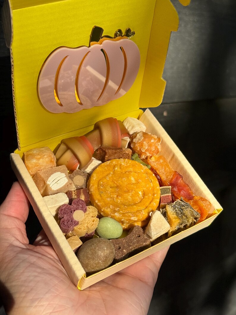 May include: A yellow box with a pink pumpkin cutout on the lid, filled with various dog treats. The treats are in different shapes and colors, including a large round orange treat and a bone-shaped treat.