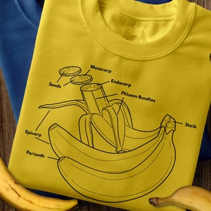 Cavendish Banana Anatomy Tee