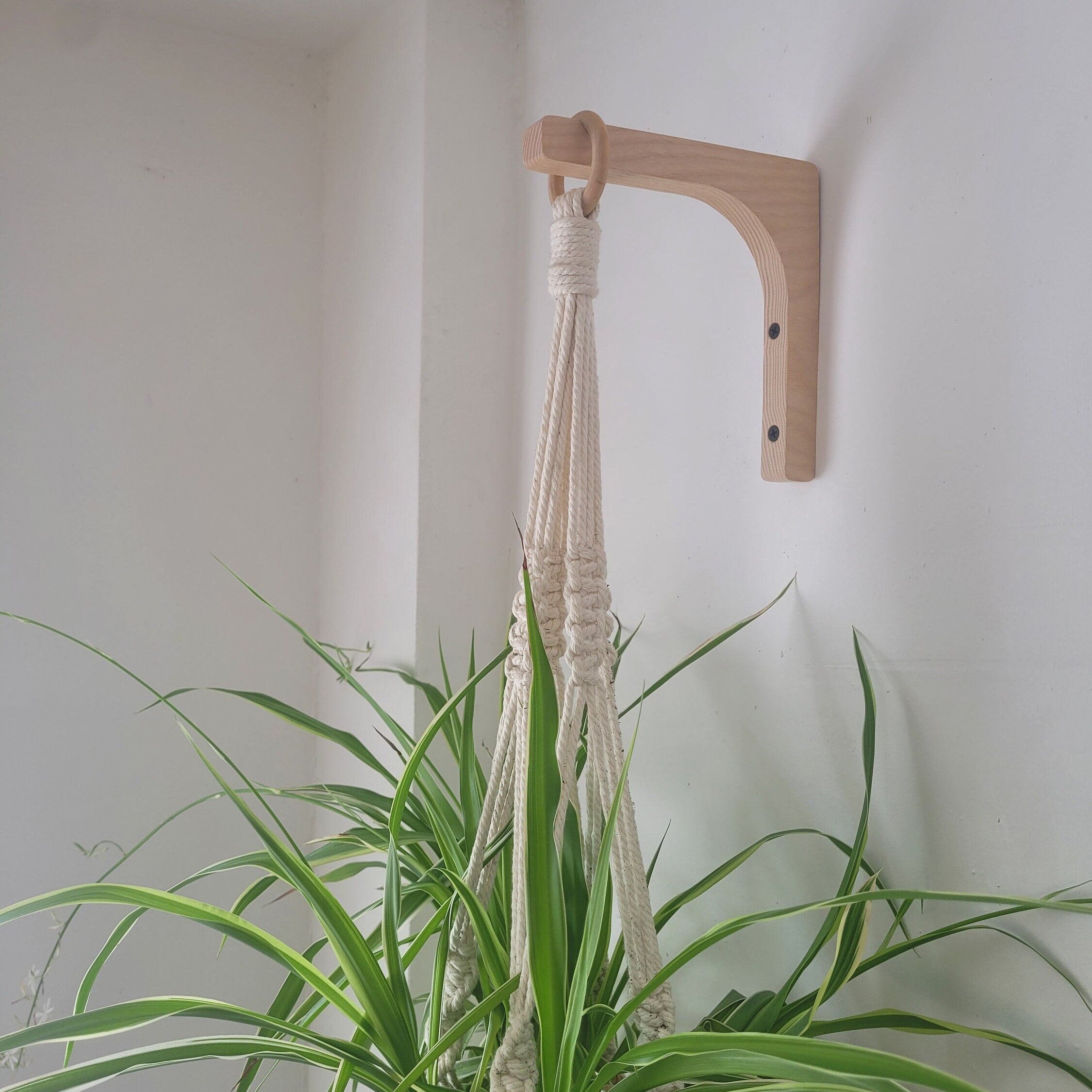 Indoor Hanging Plant Bracket 