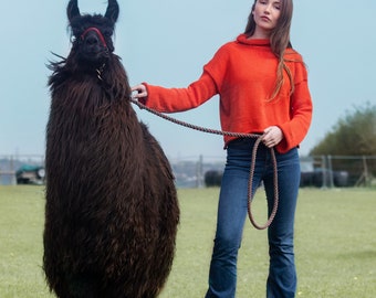 Sienna cropped high neck Jumper made from 100% gots certified organic cotton in beautiful tangerine orange