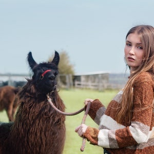 Rae Jumper made from 100% linen and cotton slub in stripe cinnamon sand and shell white cropped jumper image 4