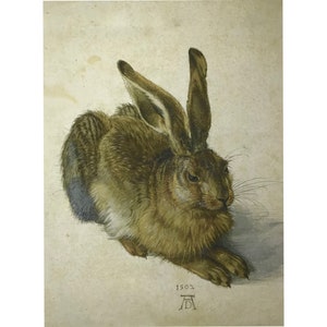 Antique Hare Print, Reproduction On Canvas, large Canvas Print, 42x59, Repro Vintage Print, Canvas Art Print, Mammalia, Rabbit Print, Hare
