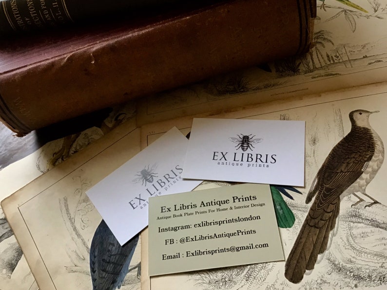 May include: An assortment of antique prints and ephemera. The image features a vintage book, several business cards with the text "EX LIBRIS antique prints", and a detailed illustration of a bird. The business cards also include contact information.