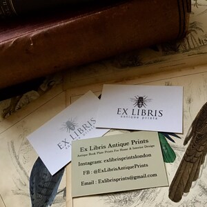 May include: Two white business cards with a bee logo and the text "EX LIBRIS antique prints". The top card has the text "Ex Libris Antique Prints" and contact information for the business.