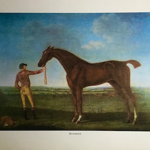 Diomed, Horse Print, 1966, Vintage Print, Old Print, Horse & Jockey Print, Horse Art, Large Print, 30x40” , Equine Print, Equine Art, Horses