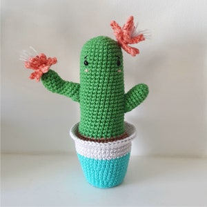 Carol the Cactus - PATTERN; amigurumi tutorial