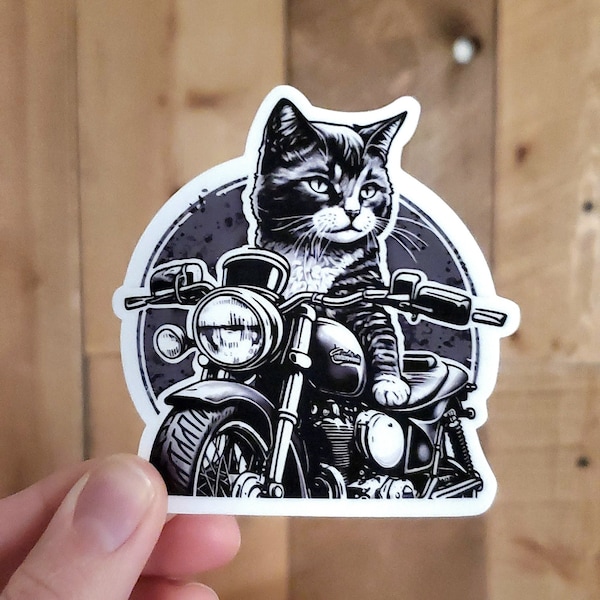 Motorcycle Helmet Sticker Cat on Motorcycle Sticker Gift for Cat Lovers Gift for Biker Motorcycle Helmet Decal Gift for Men Moto Sticker