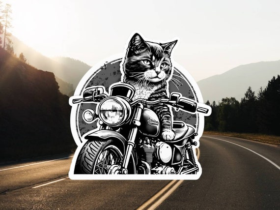 cat riding motorcycle with helmet Pet Dog/Cat Full Face Motorcycle Helmet Outdoor Motorcycle Bike Helmet Hat for Dog Doggie Puppy Kitten Pet Supplies Racing Car Fan Collectible Small Gift (Black-Yellow) Serious cat wearing helmet and