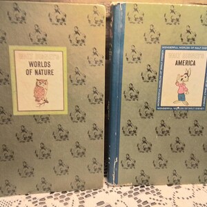 Vintage Disney Books Pair of Wonderful World of Walt Disney Collectible Hardback Books Walt Disney America and Walt Disney World&#39;s Of Nature