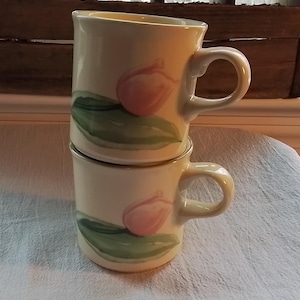 Vintage Pfaltzgraff Mug Pair Garden Party Pattern by Pfaltzgraff Coffee Tea Cups Mugs FREE SHIPPING