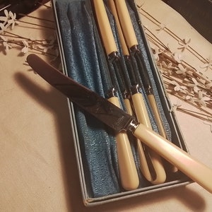Vintage Stainless Knives Set of 5 Russell Brand Cutlery Table Knives in Orginal Box Stainless with Ivory Beige Handle FREE SHIPPING