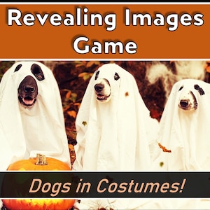 Revealing Images: Dogs in Costumes - Halloween Zoom Game - Virtual PowerPoint Family and Friends Game