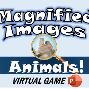 Zoom Game - Magnified Images: Animals - Virtual Power Point Game Great for Zoom - 18 photos