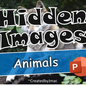 Hidden Images: Animals - Zoom Game - Virtual PowerPoint Family and Friends Game