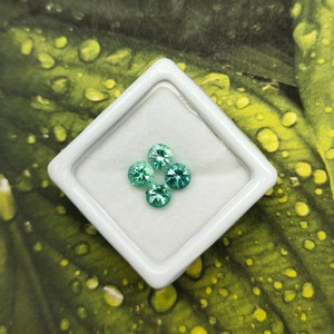 Smaragd Rundschliff 1.48 Karat 4 Stück 4,5 mm Lose Grün Smaragd Lot facettierter Smaragd Lebendige Natürliche Unbehandelte Smaragd Runde Edelstein