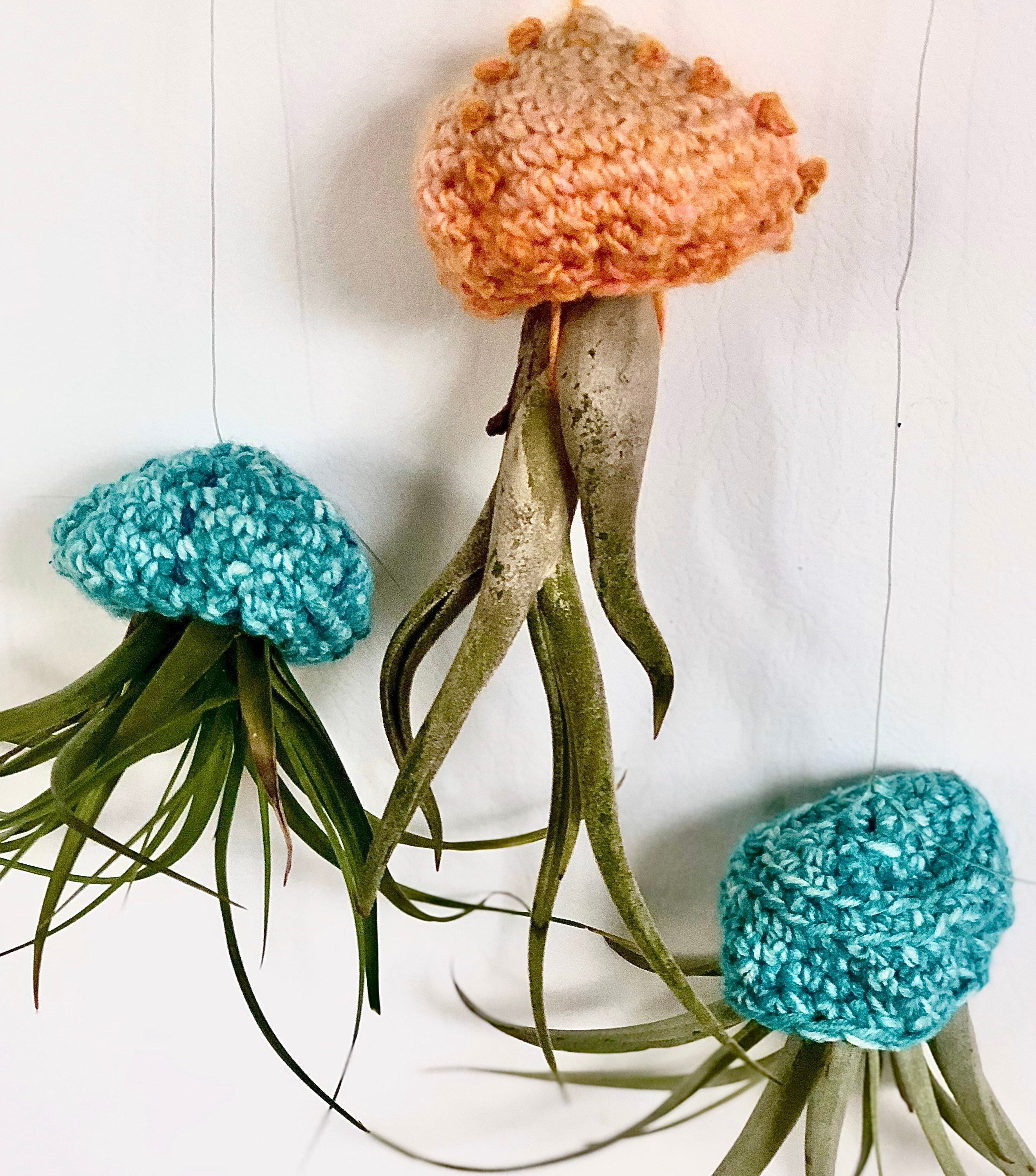 Air plant hanger jellyfish succulent hanging air plant Etsy