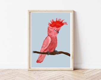 Parrot Poster