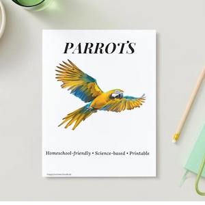 Puede incluir: Un cuaderno blanco con la palabra "PARROTS" en texto negro. Se presenta una ilustración en acuarela de un loro amarillo, azul y verde en vuelo. El texto "Homeschool-friendly • Science-based • Printable" está debajo.