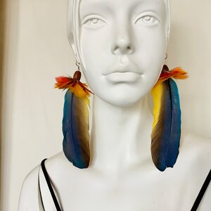 Pair of Molted Feathers Earrings Parrot/Macaw Feathers Earrings,