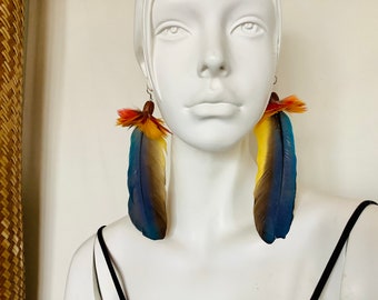 Pair of Molted Feathers Earrings Parrot/Macaw Feathers Earrings,