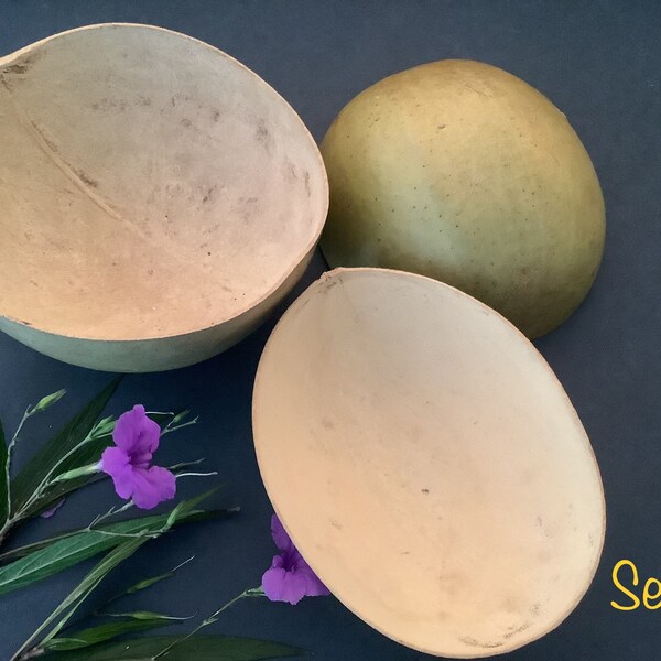 Biodegradable Bowls Etsy