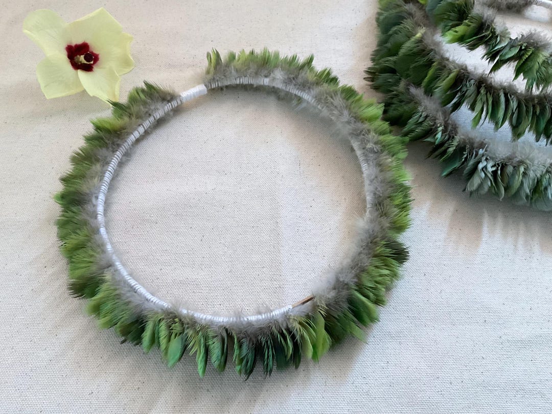 Real Exotic Natural Feathers Tiara Indigenous Headdress Native Feather ...