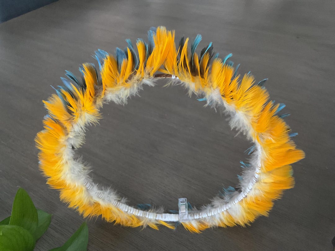 Real Feathers Tiara Indigenous Headdress Native Feather Headwear Taino ...