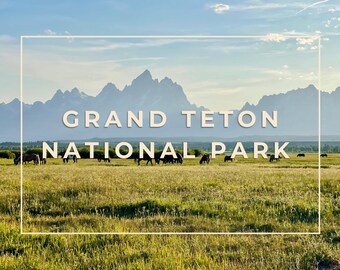 Vykort med hästar i Grand Teton nationalpark • Digital nedladdning • Landskapsfotografering