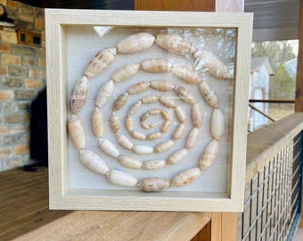 Handmade Olive Shell Art Shadow Box Coastal Shell Wall Decor