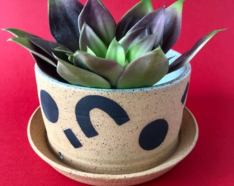 Shape Planter with attached base and drainage, modern planter, succulent planter, handmade ceramic