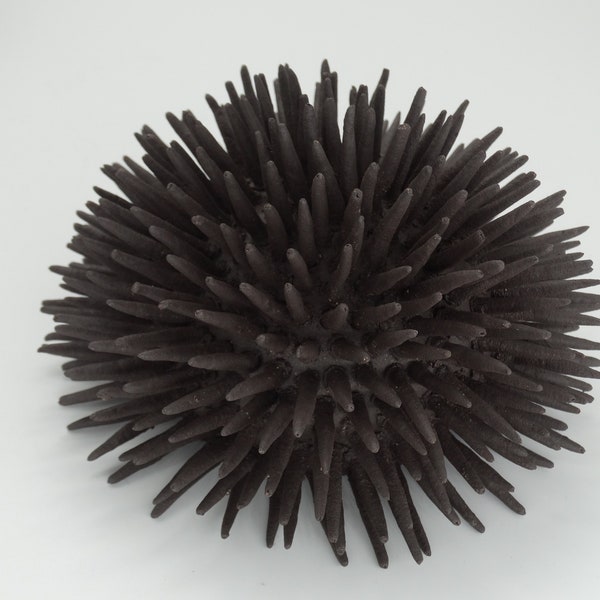 Black urchin ceramic black sea urchin for decoration{ 0,14x 0,9cm}sea urchin shell realistic ceramic urchin shell  pool decor bathroom decor