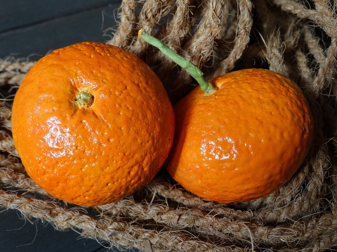 Ceramic Clementines Natural Size One Piece Kitchen Decor Ceramic Fruits