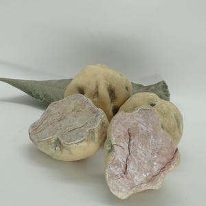 Handgjord Keramik Vit Tryffel - Realistisk Svampskulptur - Unik Keramik - Matkonst