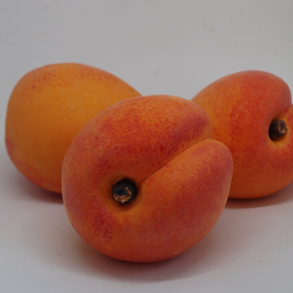 Ceramic Apricot Handmade Realistic (1 pc) Natural Size, Kitchen Decor