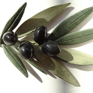 May include: A branch of olive leaves with four black olives. The leaves are green and have a slightly textured surface.