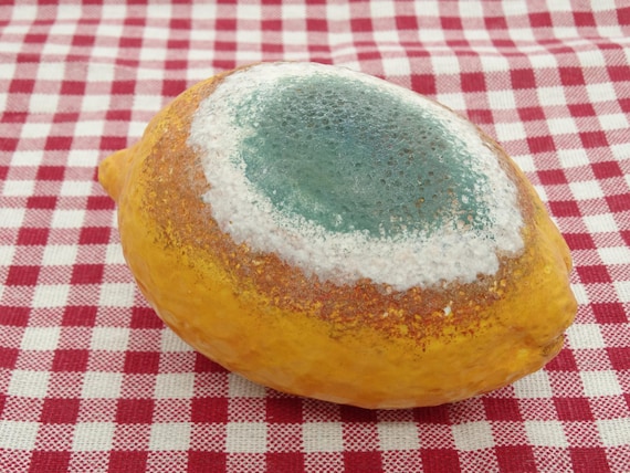A hyper-realistic ceramic sculpture of a moldy, spoiled lemon — trompe l'oeil art that will confuse and delight every kitchen guest.