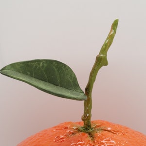Grande céramique orange avec tige et feuille faite main Orange pour la décoration Fruits orange en céramique grande taille 20x20x20cm cadeau pour elle image 4