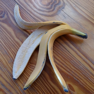 May include: A yellow banana peel with a white inner peel. The banana peel is lying on a wooden surface.