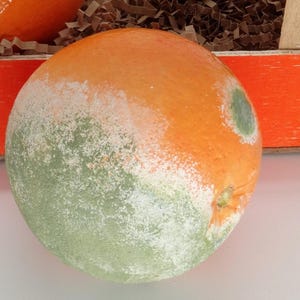Handmade Ceramic Spoiled Orange 1 piece Sculpture – Realistic Kitchen Decor