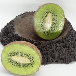 Ceramic Kiwi Cut Handmade Realistic (2 half pieces) Natural Size, Decoration