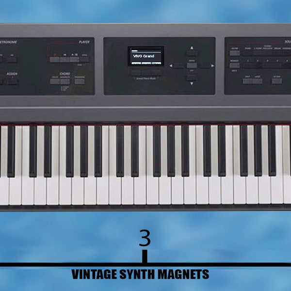 DEXIBELL VIVO S3 S7 S9 P3 P7 Classico L3 Combo J7 synthesizer refrigerator magnet