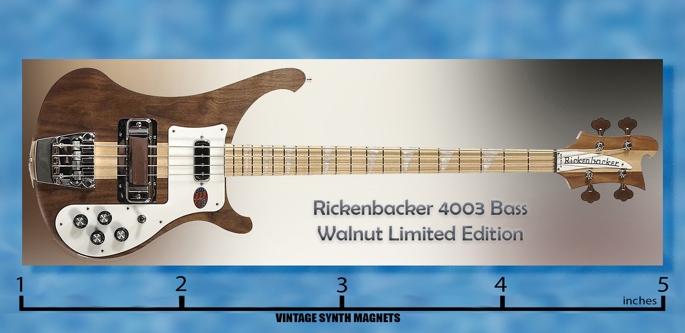 ハ*ネ様 Rickenbacker 現状品 Rickenbacker Limited Edition 90th Anniversary 480XC Electric